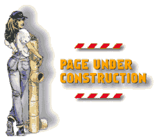 An illustration of a woman with long hair wearing a white t-shirt and jeans who is looking at you with a sultry demeanor and holding a jackhammer. The graphic reads, 'Page under construction.'
